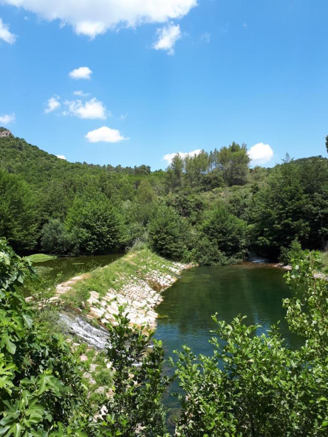 Chambres D Hotes Le Clos Des Vins D Anges Saint-Pierre-des-Champs Zewnętrze zdjęcie